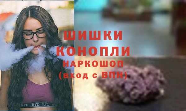 крисы Гусиноозёрск