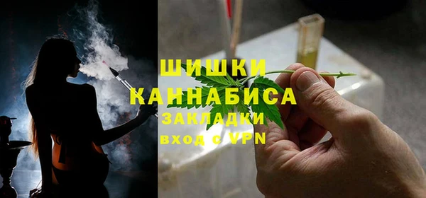 крисы Гусиноозёрск